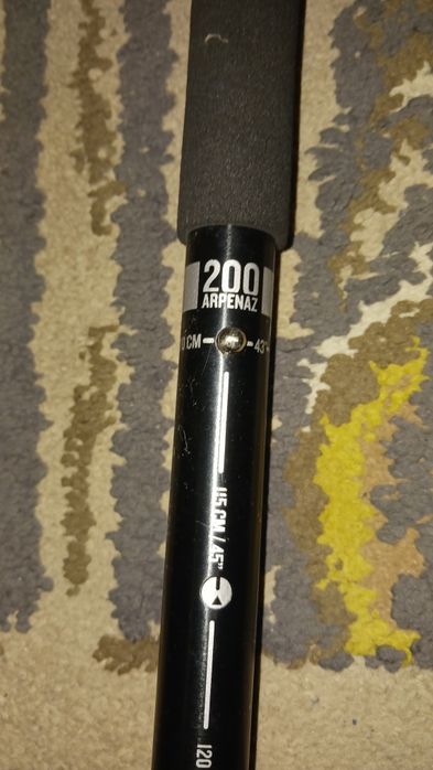 Walking Stick447315378438809601