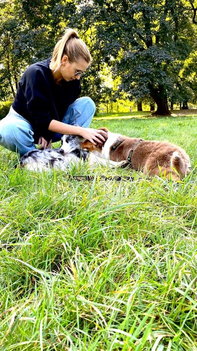 Trener Psów - Behawiorysta