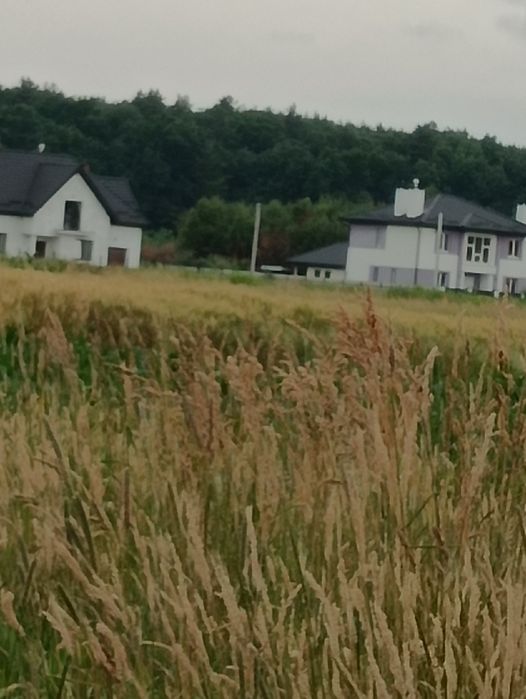 Земельна ділянка в с.Конопниця