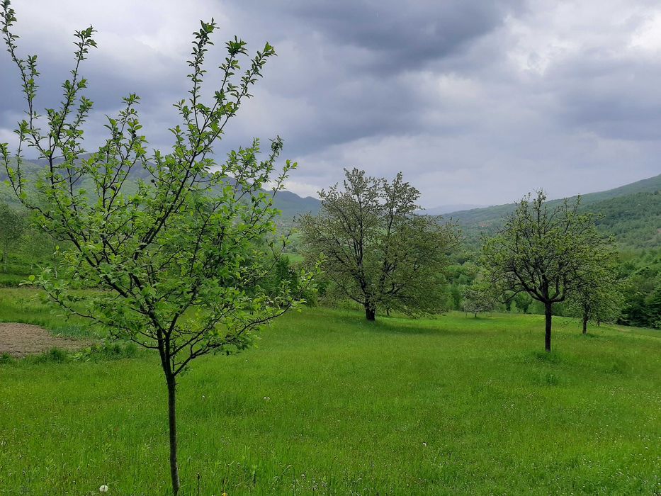 Продам будинок та земельну ділянку