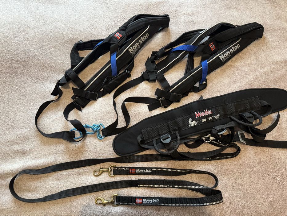 2 Їздові шлейки Non-stop dogwear + Пояс MANMAT CANICROSS + потяг