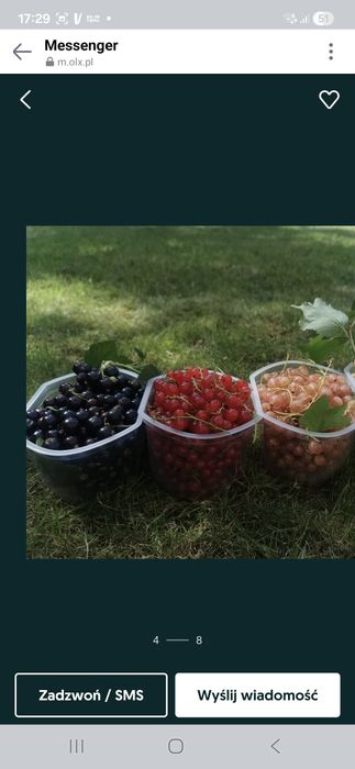 Zestaw roślin za 30 zł.