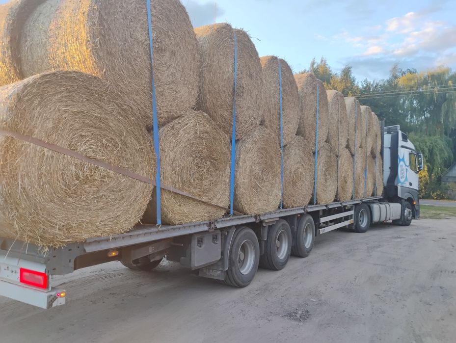 Sloma w belach 160 cm 2000 szt  Giżycko