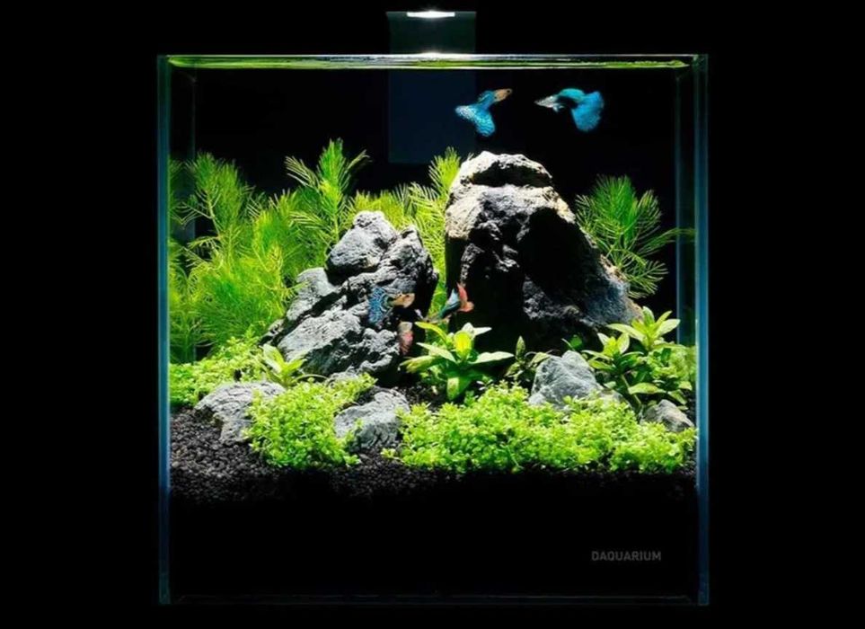Нано акваріум 5,10 л, акваріумний набір Pico Set для півника/креветок