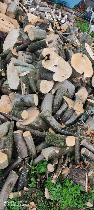 Opał, drewno kominkowe