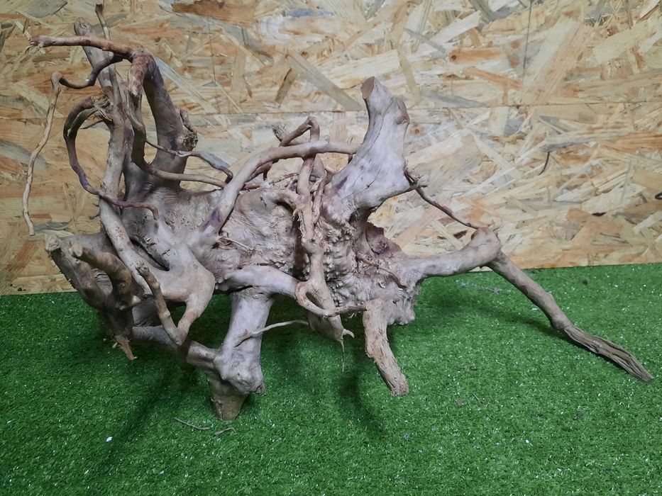 Korzeń do akwarium Red Moore Wood nr 863 o wymiarach 55/39/35