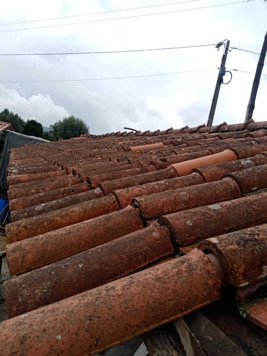 Telha Juncal - J. Coelho da Silva 20564176764219267123