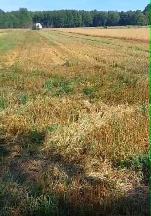 3,5 ha ziemi – asfaltowy dojazd – Miszkiniki Wielkie, Szudziałowo