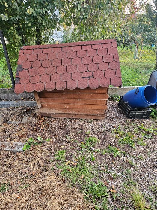 Buda dla psa duża
