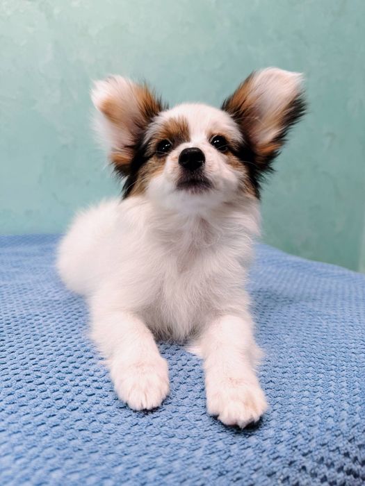 Файна дівчинка, є відео