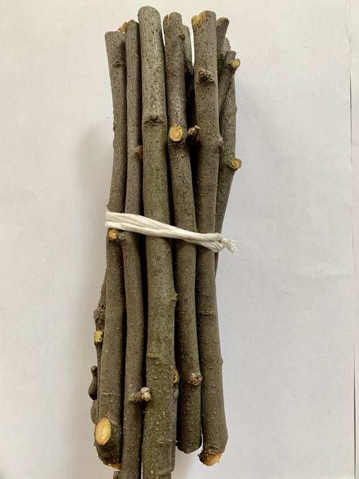 Гілочки гризунці, погризушки для домашніх улюбленців