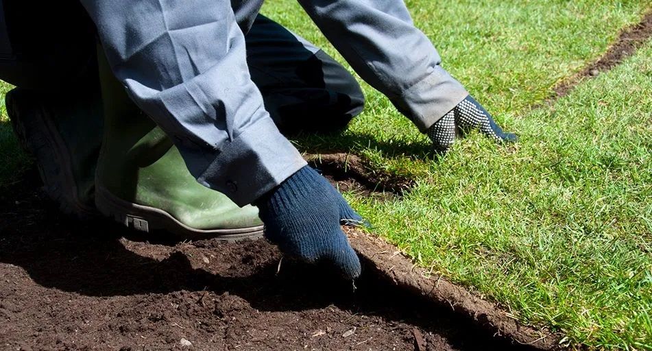 Najlepszej klasy ziemia przesiewana SUPER OFERTA Ruda Śląska 12 TON