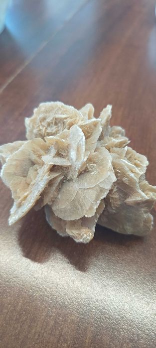 Róża pustyni 10 cm