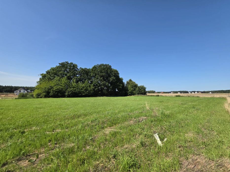 Działka 4274 m² Siemianice, super lokalizacja