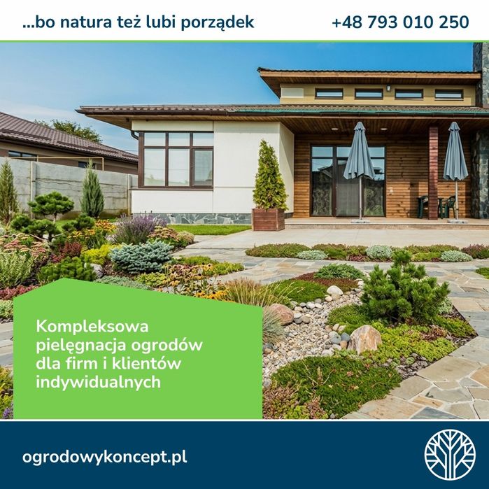 TY sadzisz, MY kosimy - konkurencję też!