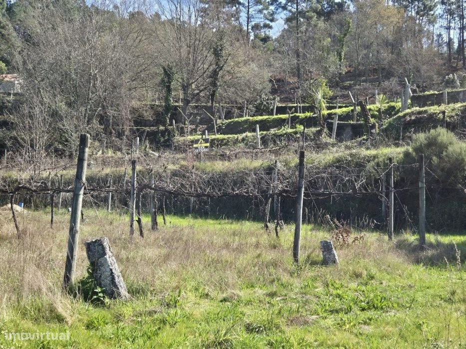 Terreno com Projeto Aprovado