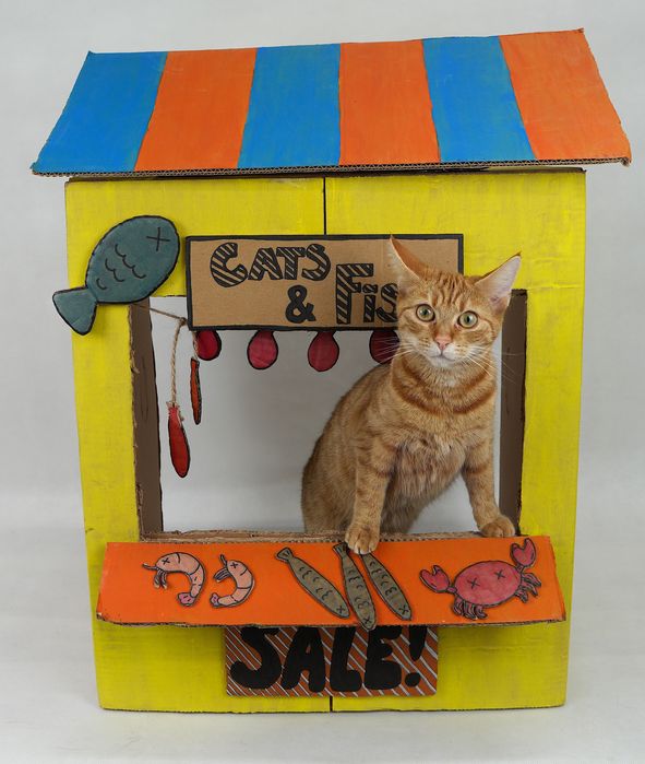 Ziemniak na nóżkach (Mucha) i rudy odkurzacz (Karmela)