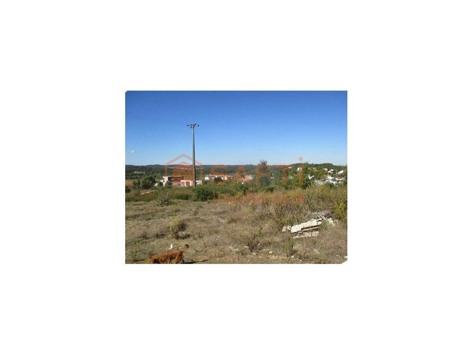 Terreno Rústico — Soure, Coimbra