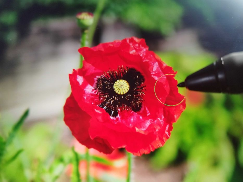 Tablet graficzny huion KAMAVAS Pro 13