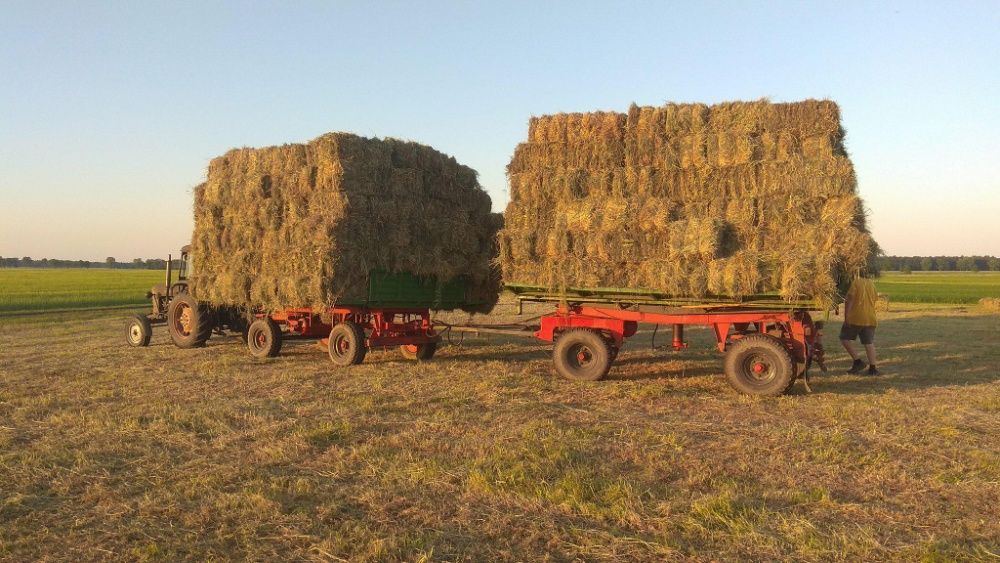 Siano w kostkach | zbiory czerwiec 2025 | Bez deszczu