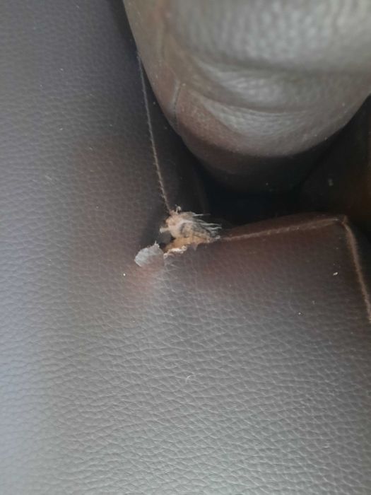 Sofá tipo couro - oferta chuveiro