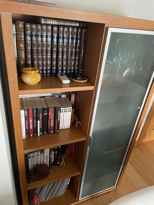 Armário de sala (estante e armário com porta)