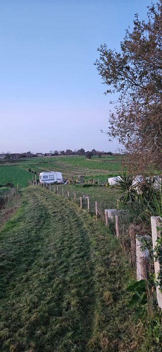Terreno rústico em salreu, Estarreja