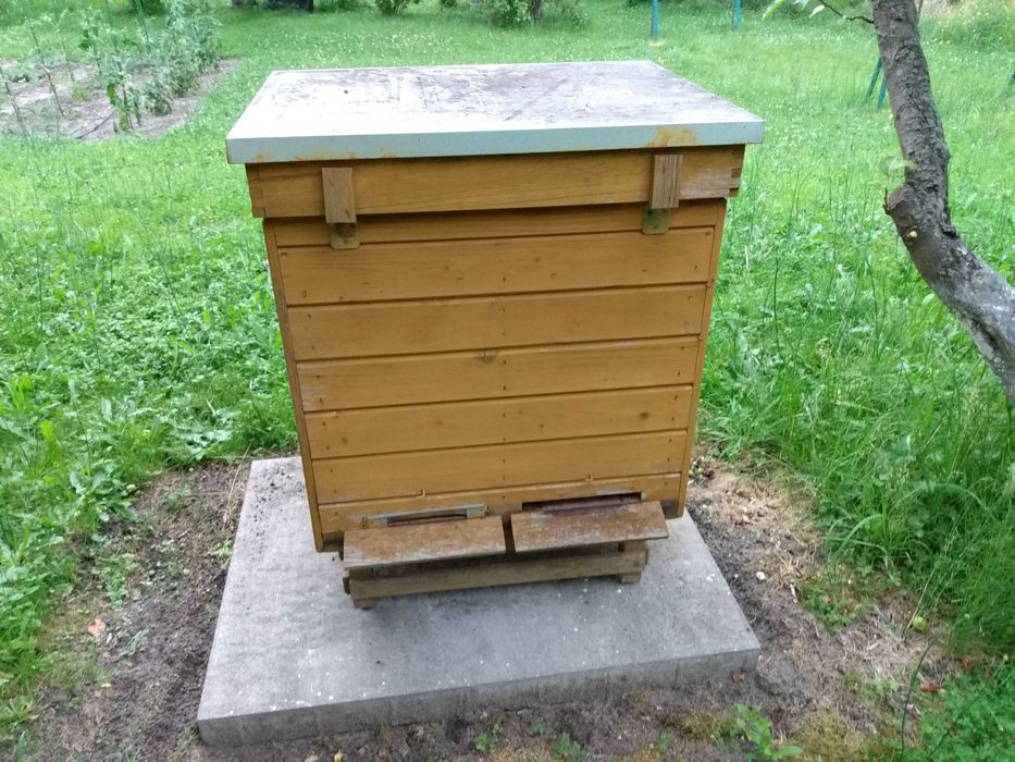 Pasiekę małą sprzedam