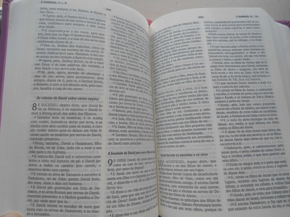 Bíblia Sagrada com concordância