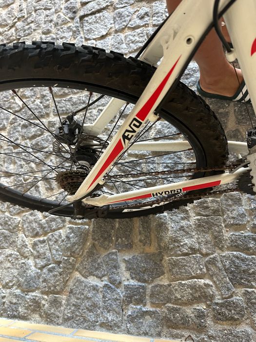 Bicicleta BTT Bicampeã Evolution