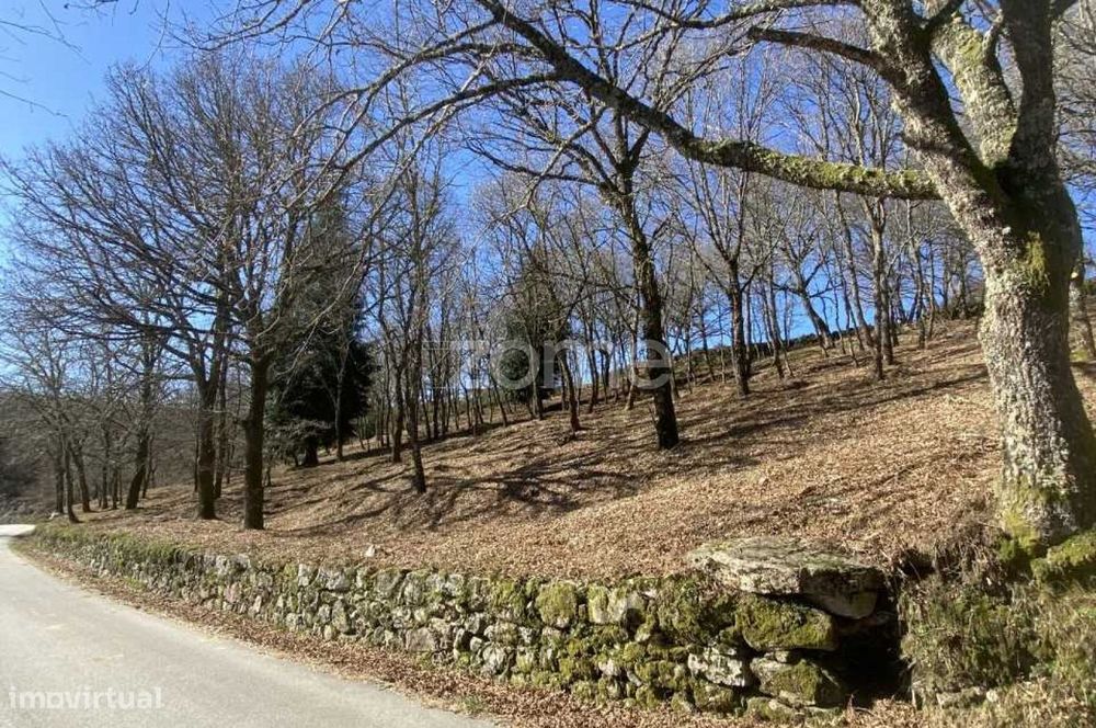 Terreno para venda em Linharelhos, Salto, Montalegre
