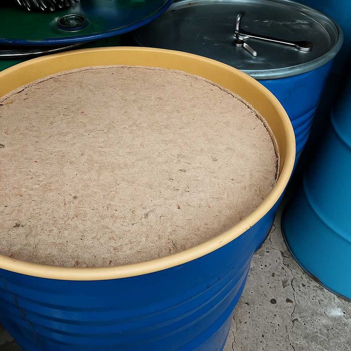 Świeży miód rzepakowy z własnej pasieki 2025 HURTOWO w beczkach, HURT