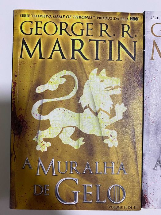 A Muralha de Gelo - livro 2