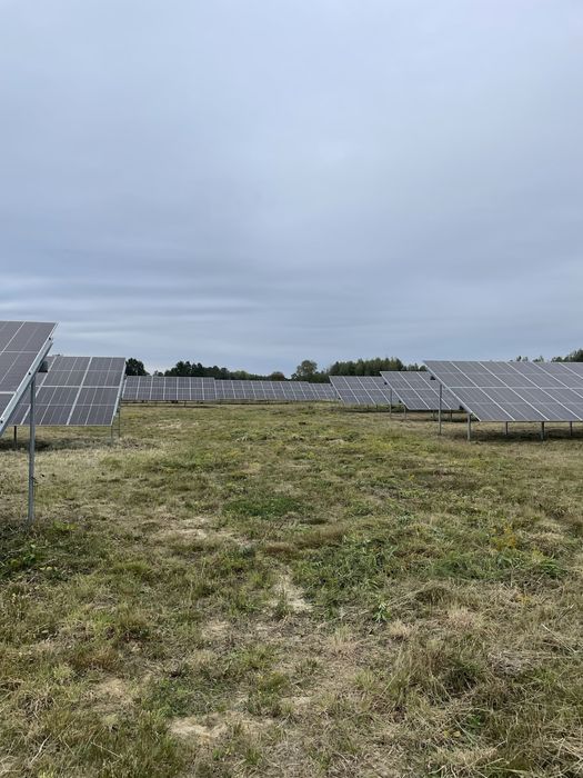 Koszenie, przycinanie  - prace porządkowe