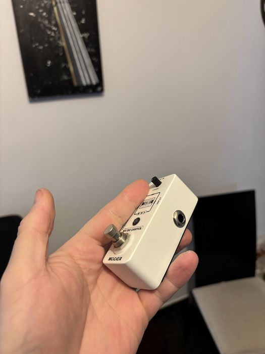 Micro looper mooer