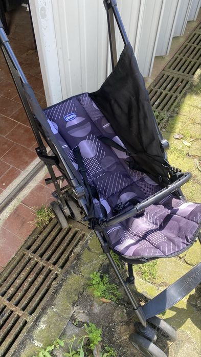 Carinho chicoo criança