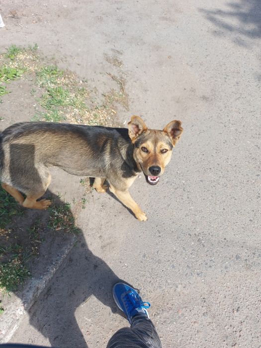 В надійну родину!