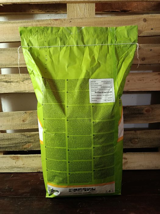 Насіння соняшнику Лідеа Цейлон СУ / LIDEA CEYLON SU