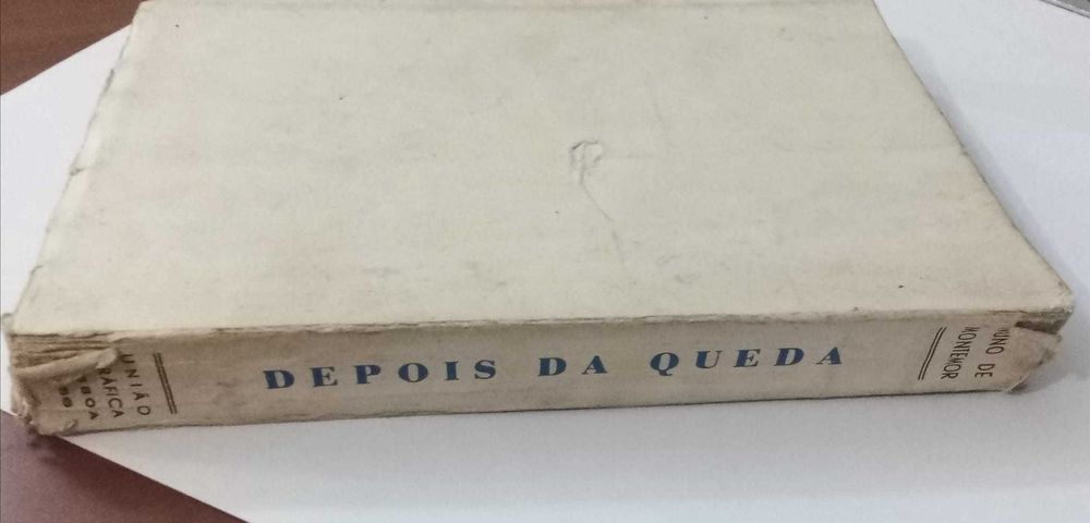 DEPOIS DA QUEDA - Nuno de Montemor