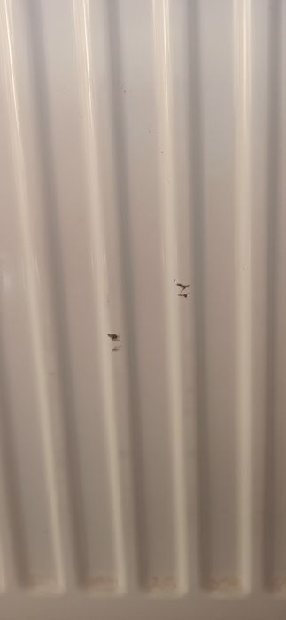 Радиатор стальной (батарея) Purmo 22тип 500*1400