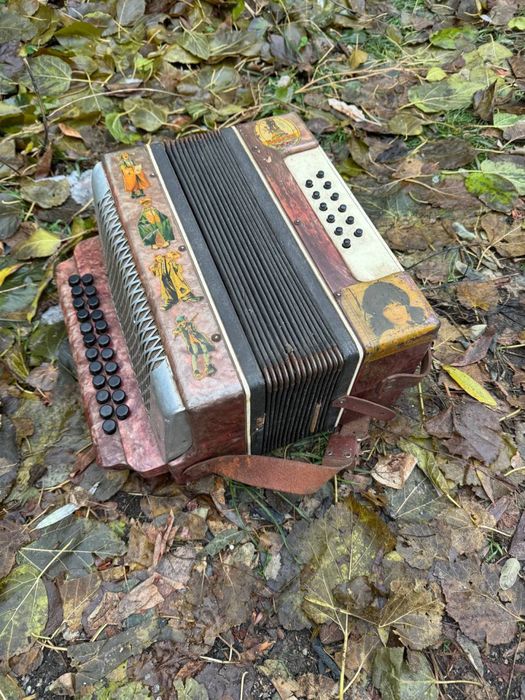 гармонь гармошка баян