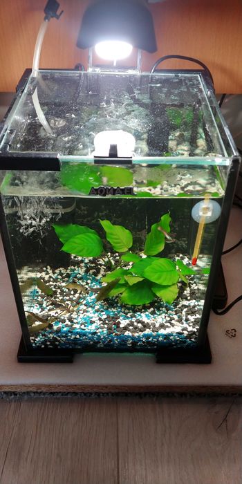 Akwarium sprzedam