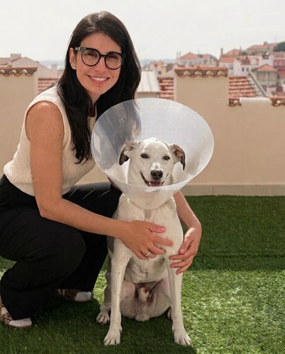 Pet Sitter, Creche Individual Lisboa | Pet Care & Day Care