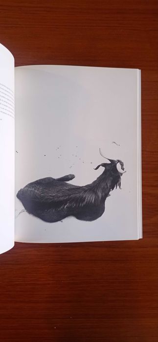 Antonio Manuel, Museu Serralves