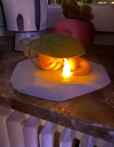 Pokemon Charmander com luz 3D personalizado