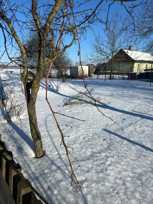 Продам будинок  в селі Оздів.