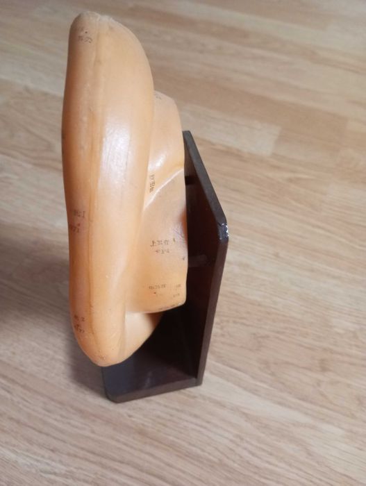 MODELO DE ORELHA COM PONTOS DE ACUPUNCTURA COM 22CM
