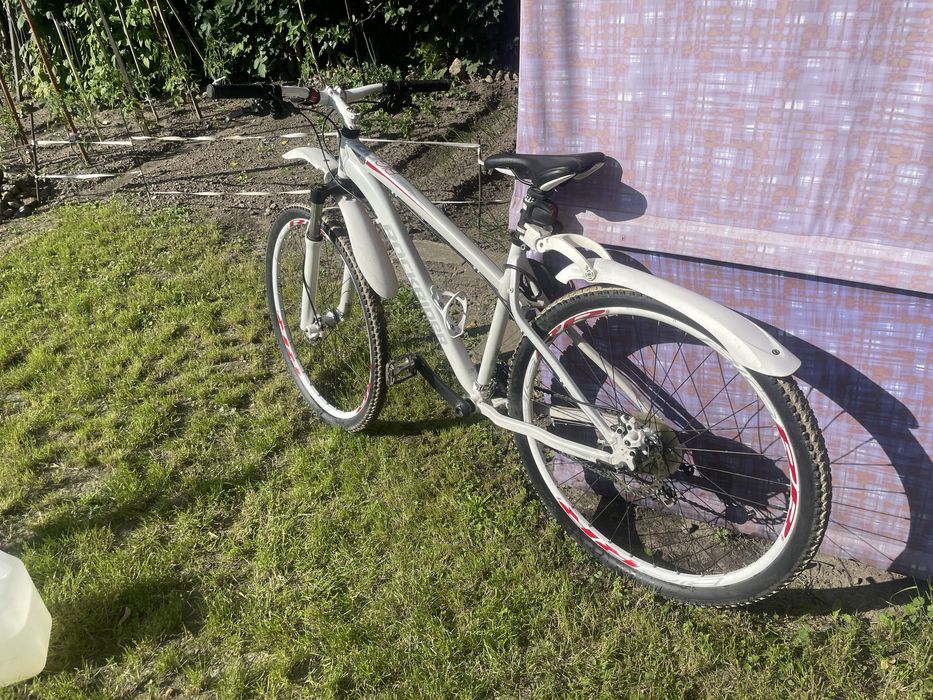 Rower MTB ROCKRIDER Big RR29 biały