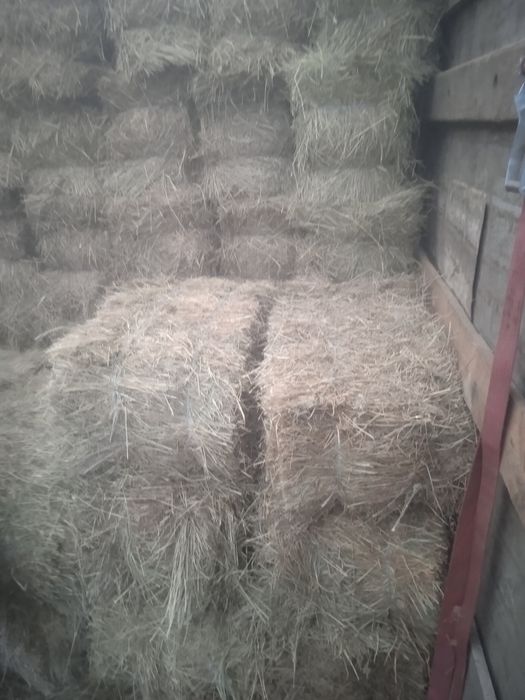 Сено луговое в тюках