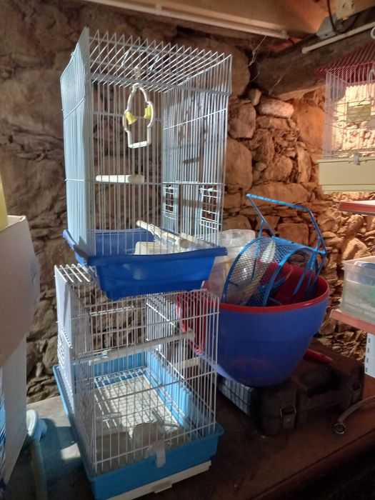 DESOCUPAR ( LER a descrição)Acessórios de animais